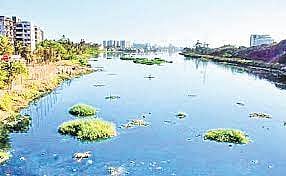 Mithi river