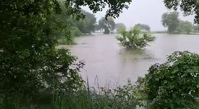 Uttar Pradesh, Aug 10 (ANI): Floodwater submerged the area, in Jalaun on Tuesday.