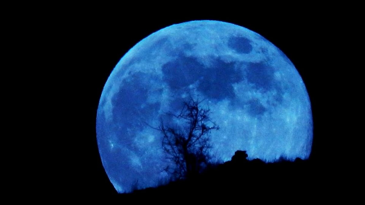 Selenophiles, take note! Rare 'true' Blue Moon to appear on August 22, here's all you need to know