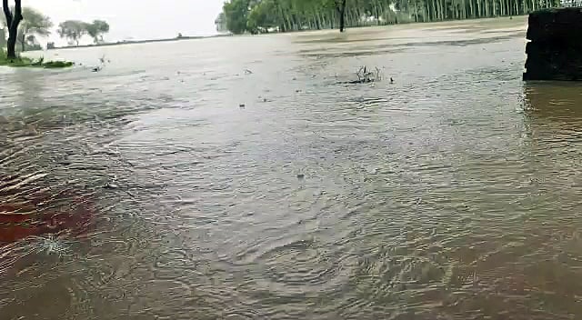 Uttar Pradesh, Aug 10 (ANI): Area submerged in floodwater, in Jalaun on Tuesday.