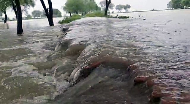 Uttar Pradesh, Aug 10 (ANI): Floodwater submerged the area, in Jalaun on Tuesday.