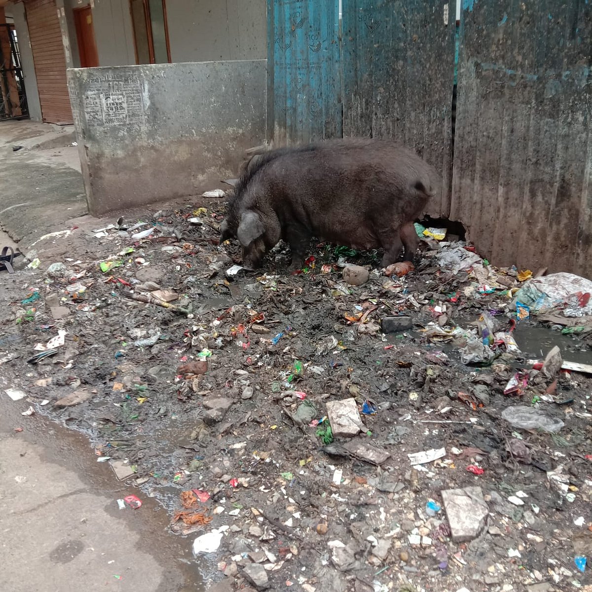 Filth and garbage at the site which was later cleaned by Clean and Green