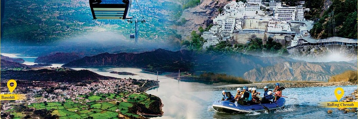 article-image
