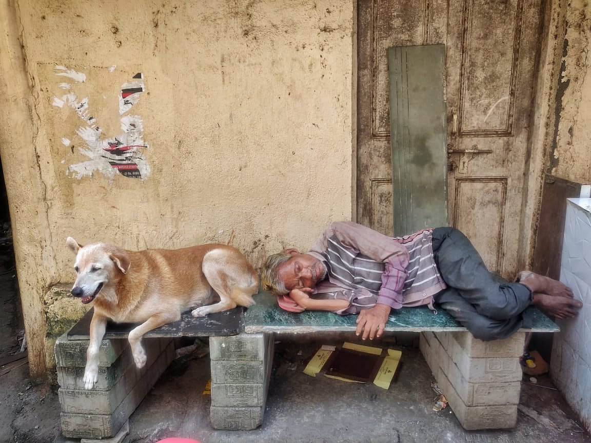 In a carefree moment, a man shares a bench with a dog at Dharavi, Mumbai on Tuesday, October 5, 2021.
