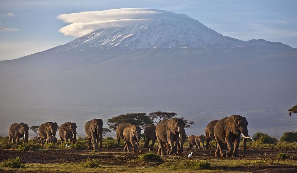 Africa’s rare glaciers soon to disappear
