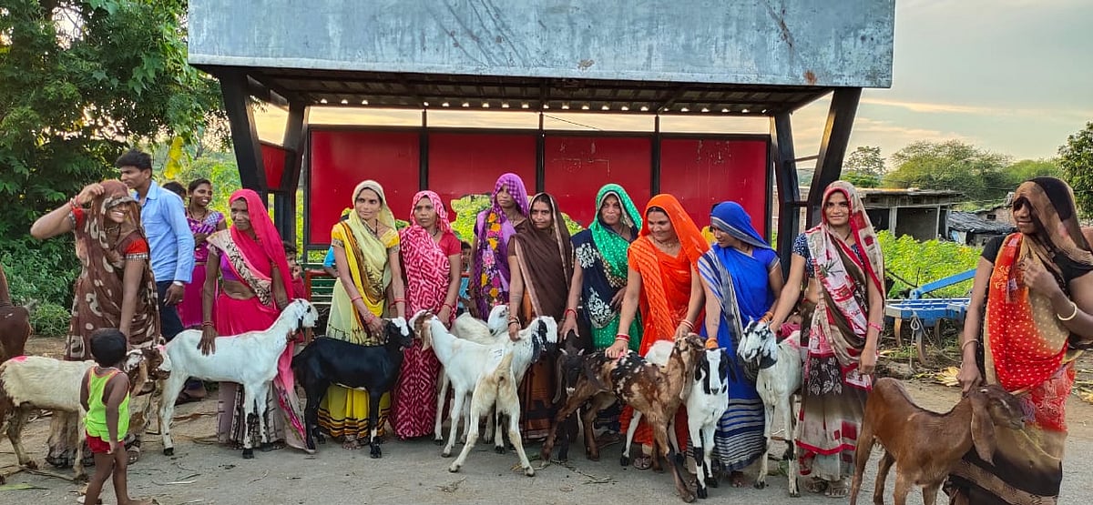 Mhow: Goats and Kadaknath chicken
units distributed free of cost