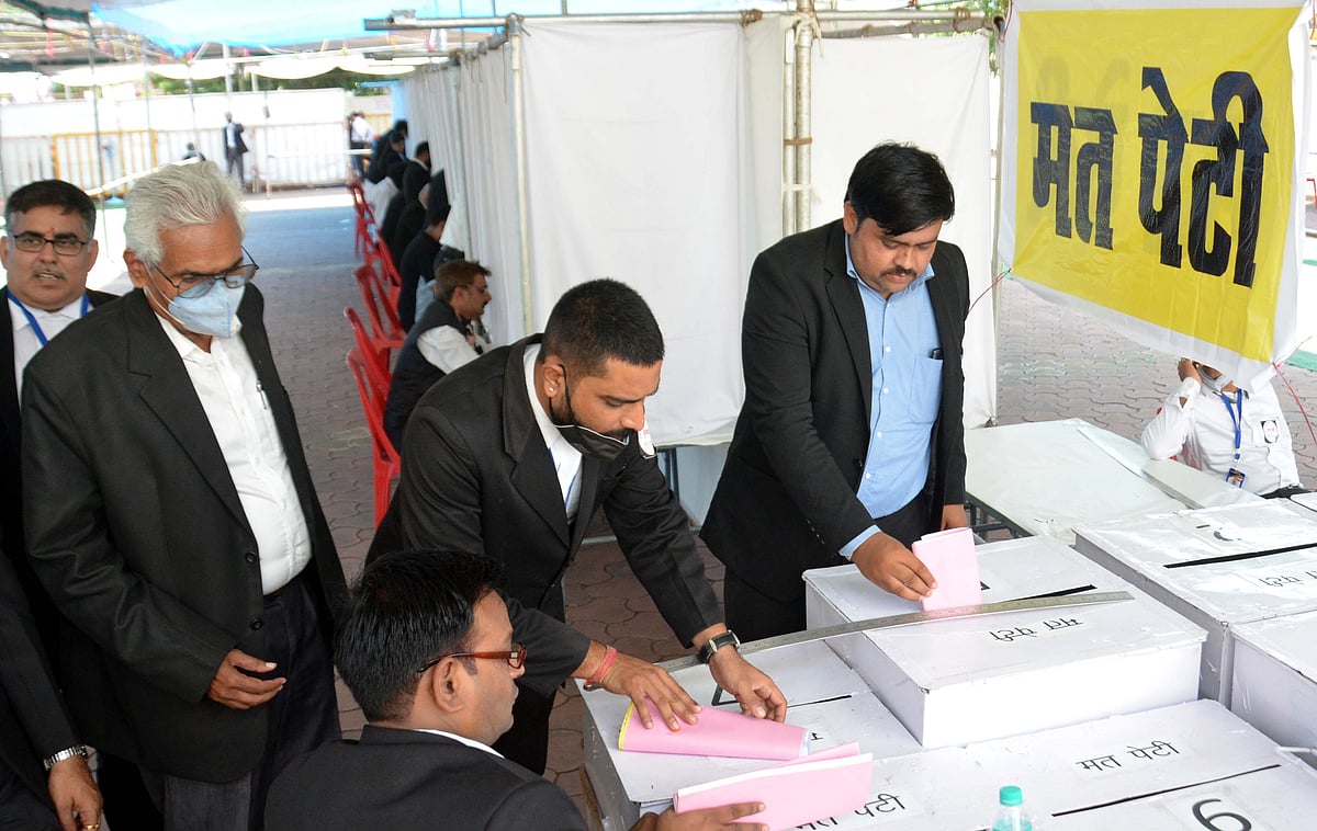 Bhopal District Bar Association election in progress on Monday