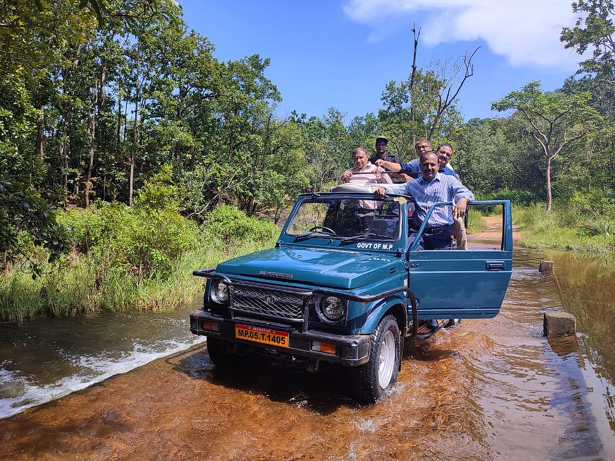 Madhya Pradesh: Adventure tour from Pachmarhi to Satpura Park