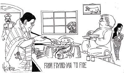From Frying Pan to Fire: The Week, 2001