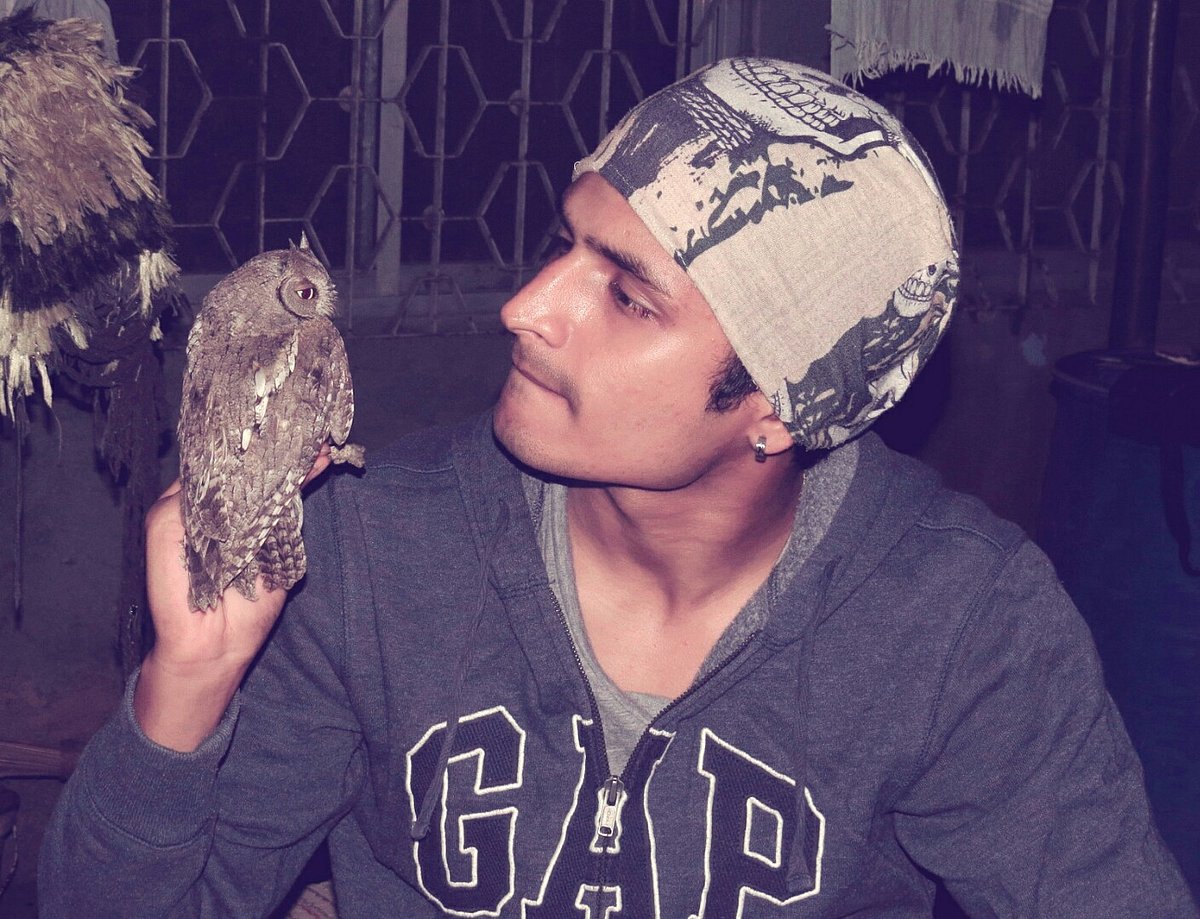 Mumbai: Birders record rare owl in Andheri after almost 90 years
