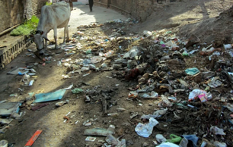 Garbage out in the open is a health hazard for all | Representative Image 