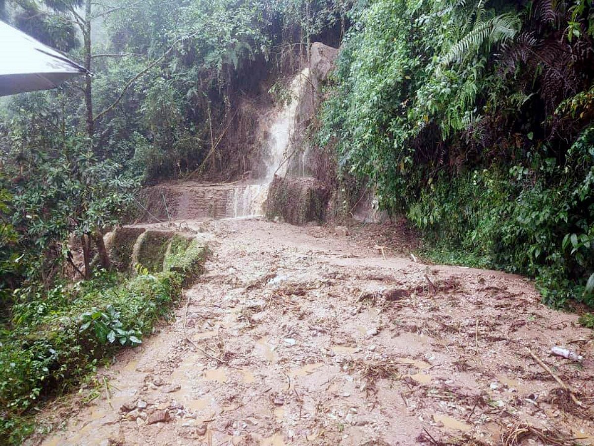 West Bengal: Incessant rain affects normal life, causes landslides in northern side of state