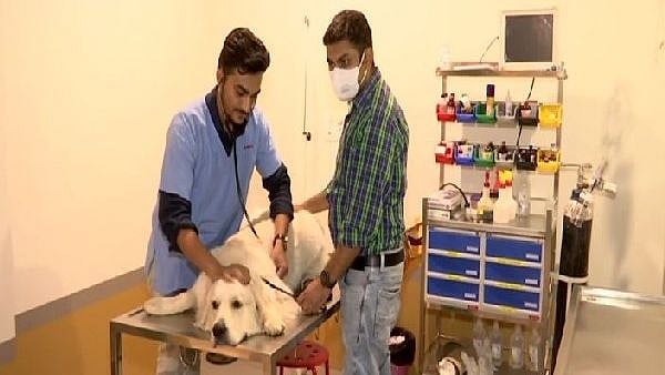 Gujarat man opens India's first veterinary ventilator hospital in Ahmedabad after losing his dog