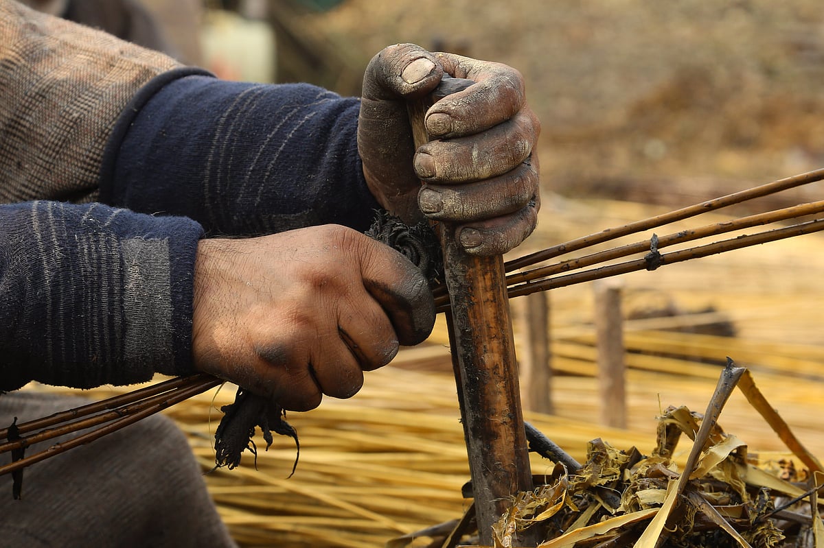 A villager peels the skin of wicker sticks on the outskirts of Srinagar, Jammu and Kashmir.