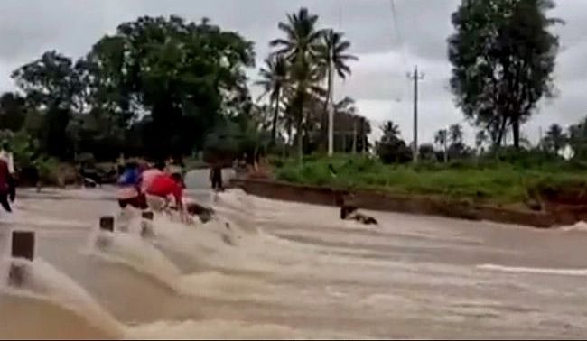 Watch Video: Karnataka biker's narrow escape to cross flooded road