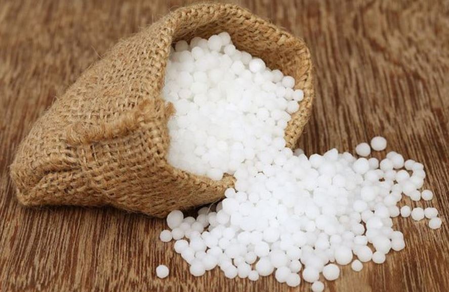 Centre releases Rs 100 cr for Assam fertilizer plant hours after CM meets Mansukh Mandaviya