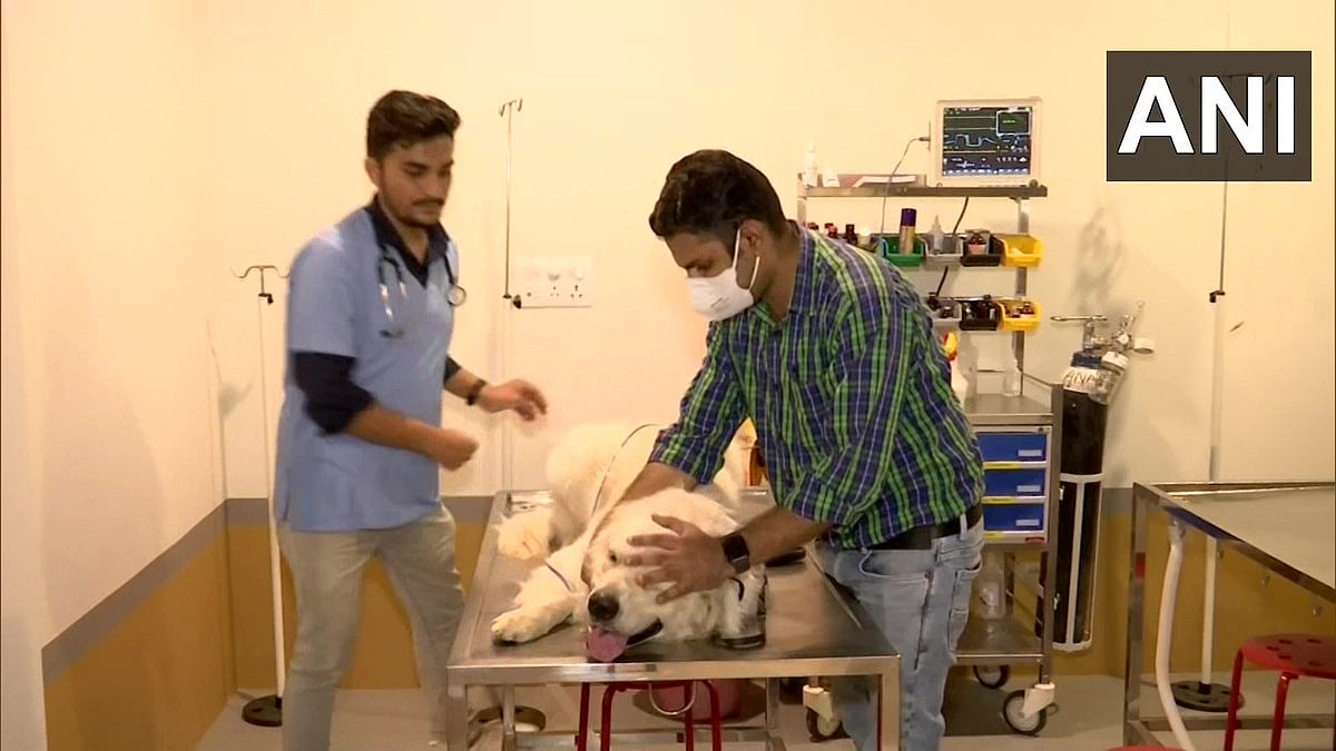 Gujarat: Ahmedabad engineer sets up India’s first ventilator hospital for pets after losing his dog 'Buddy' 