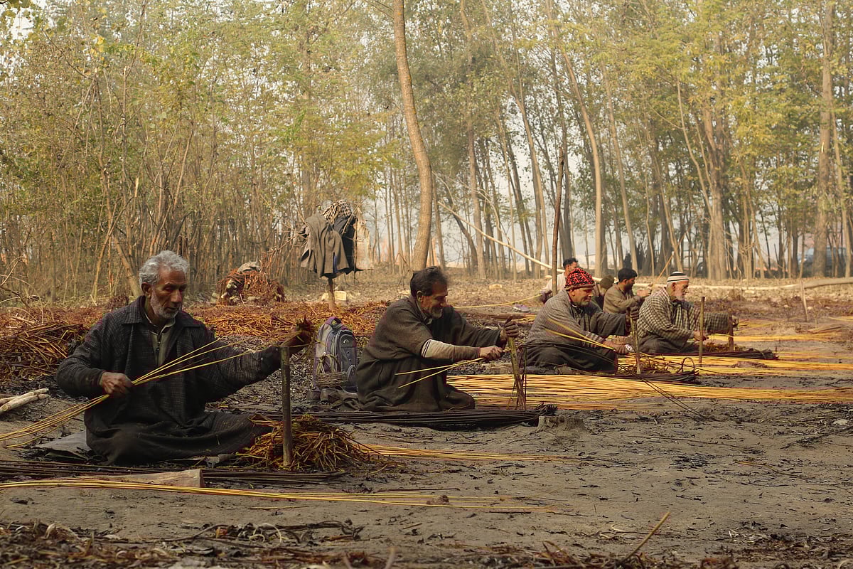 Villagers peel the skin of wicker sticks on the outskirts of Srinagar, Jammu and Kashmir.