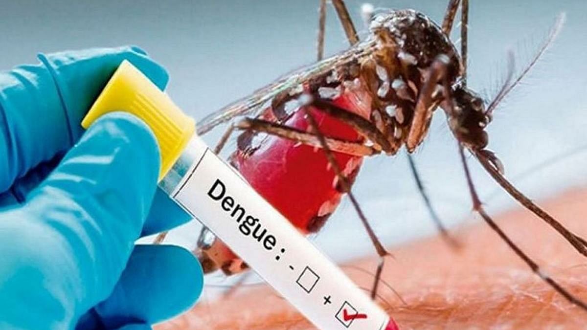 Madhya Pradesh records 1,595 dengue cases so far this year, significant drop from 2021