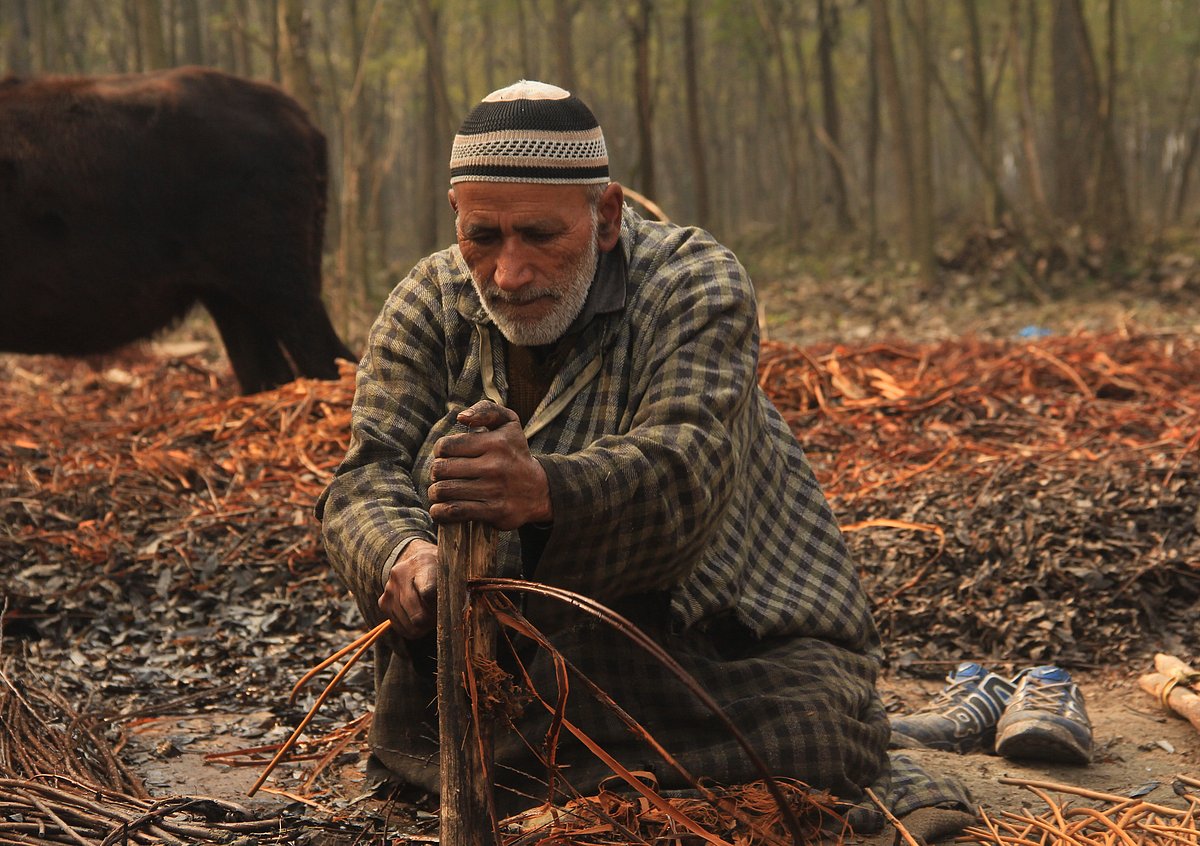 A villager peels the skin of wicker sticks on the outskirts of Srinagar, Jammu and Kashmir.
