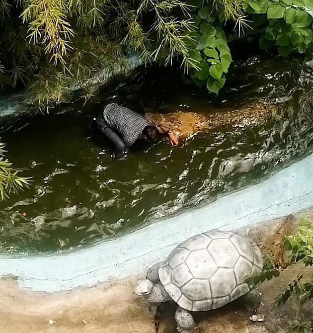 Tourist attacked by 12-feet crocodile while clicking selfie with it