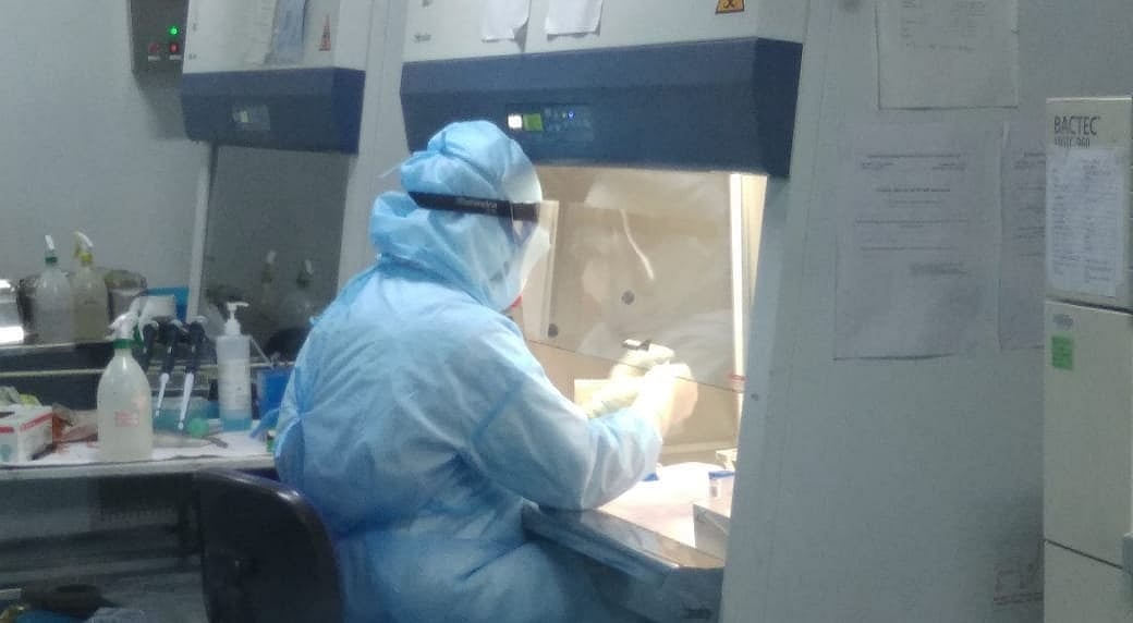 Madhya Pradesh: Thieves break into IRL lab of MRTB Hospital, TB reports stuck