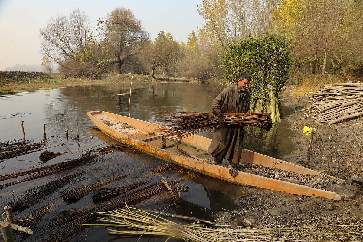 A worker carries wicker twigs on the outskirts of Srinagar, Jammu and Kashmir.
