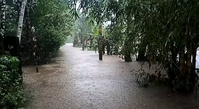 Kerala: Rs 400 crore worth crops destroyed in incessant rains, CM Pinarayi Vijayan cautions citizens on weather conditions