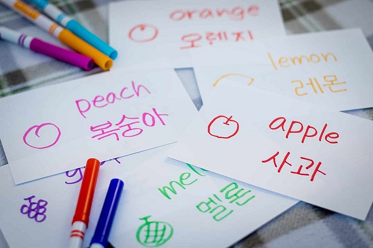 Learning Korean gaining ground in India, says education report