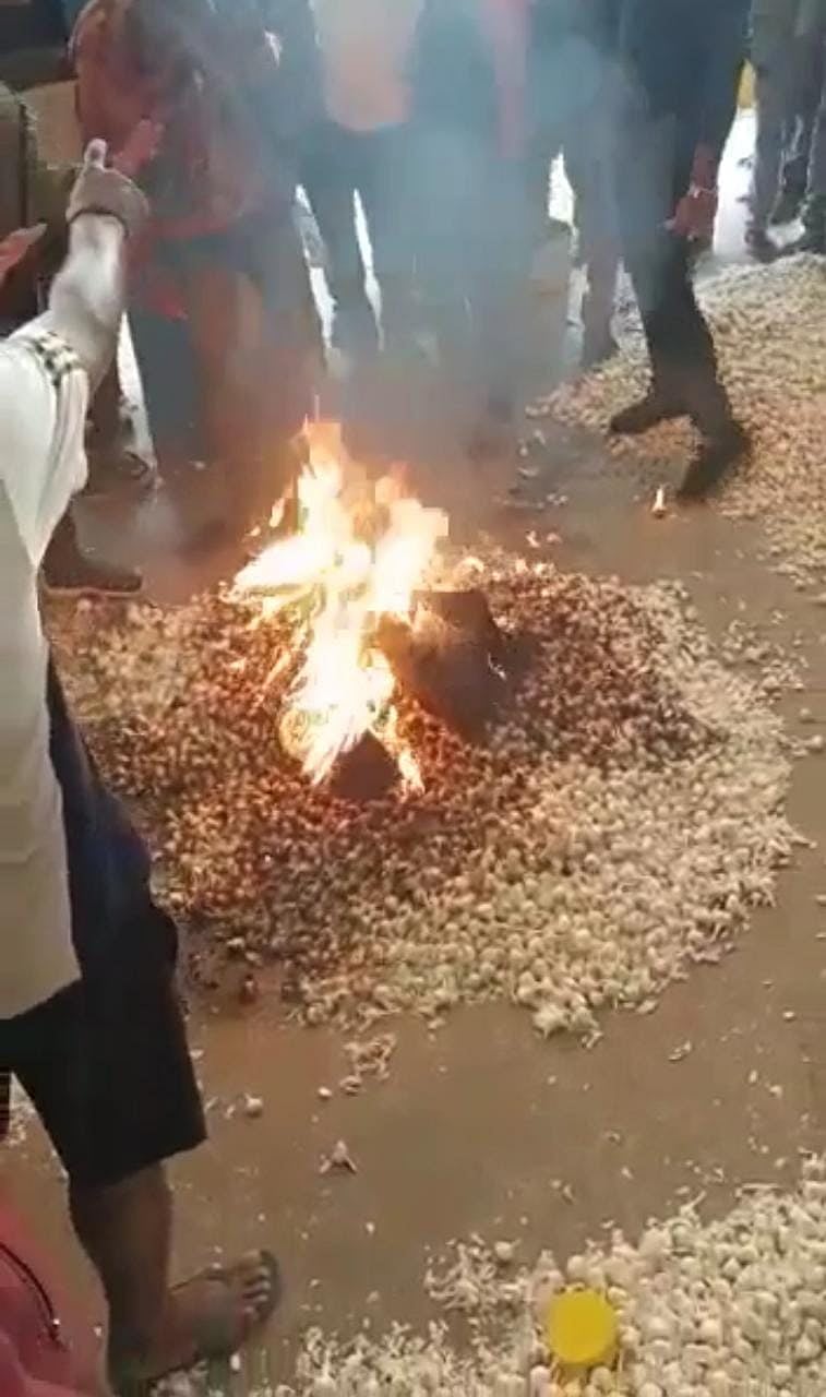 Madhya Pradesh: Furious farmer lights garlic in Mandsaur