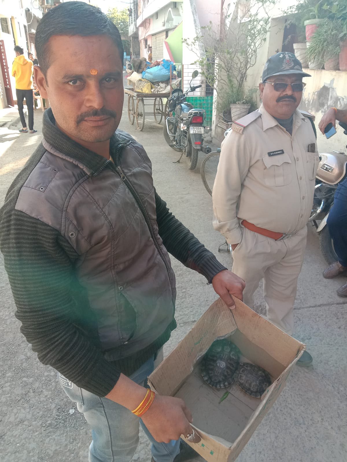 Indore: Turtles rescued from house of tantrik