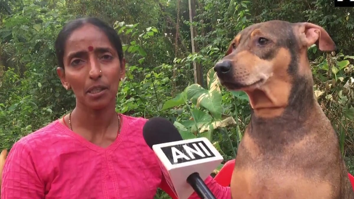 Karnataka: Mangaluru woman feeds 800 stray dogs daily 