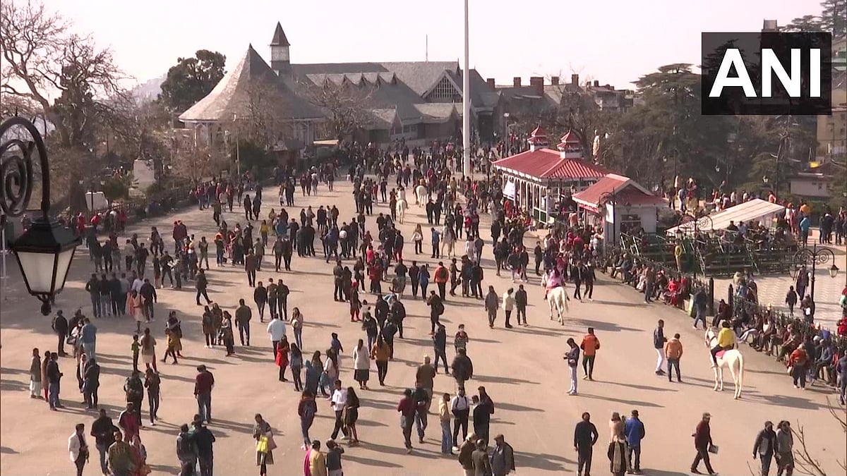 Watch Video: Thousands of tourists throng Shimla, administration divides city into seven zones for better crowd control on New Year's eve 