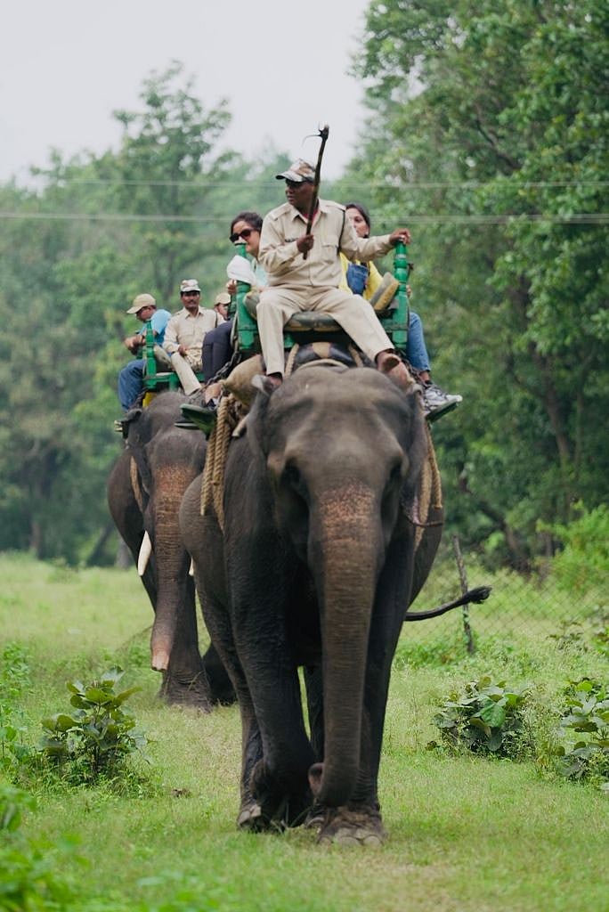 Tourists at Kanha National Park