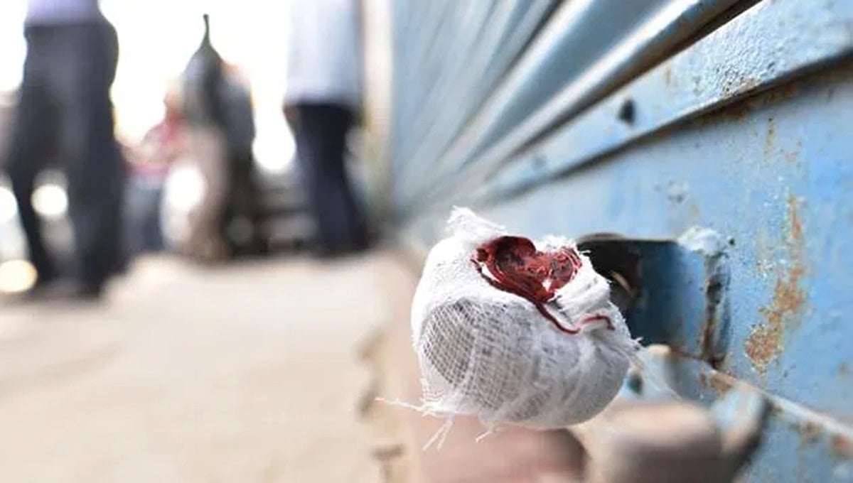 Omicron threat in Delhi: Mehrauli restaurant sealed for organising gathering of 600 people, violating DDMA guidelines