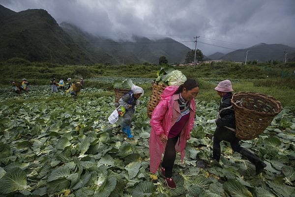 Geopolitics, Taliban, food security are resetting power equations in Asia, writes K C Singh