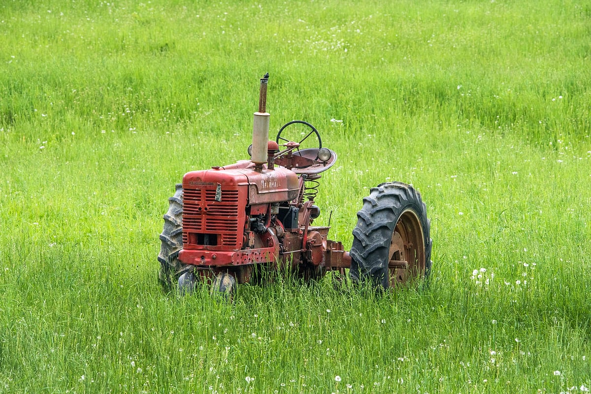 National Start-up Day: Lack of pair of bullocks spurs Beed man to make small tractor | Unsplash 