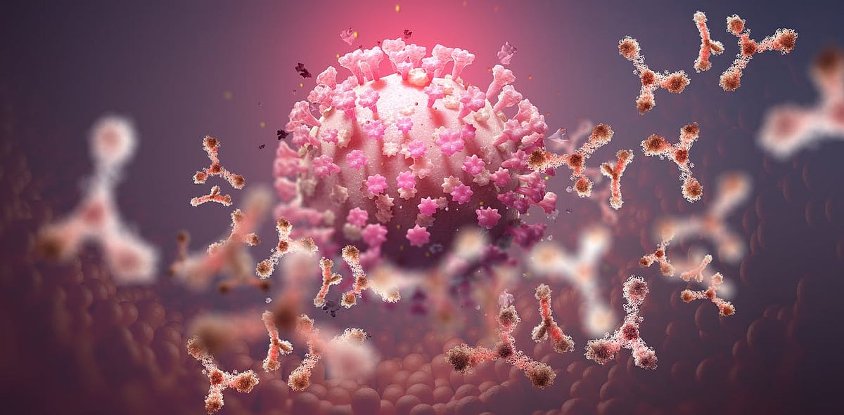 FPJ Explains: Why antibodies become ineffective against Omicron variant