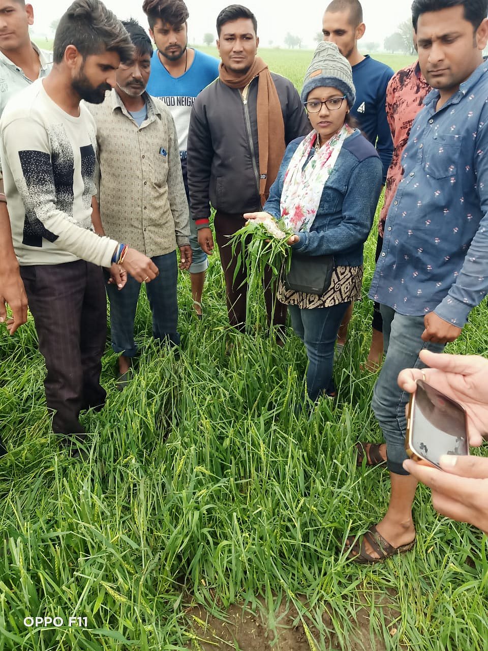 Ujjain: Unseasonal rain damages crops