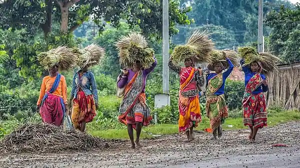Maharashtra: Boat ambulances ferry COVID-19 jabs to remote tribal villages 