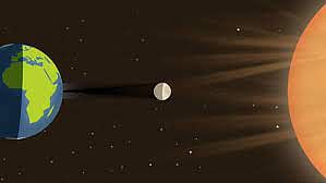 Gravitational action of sun and moon influences behaviour of animals and plants, study shows 