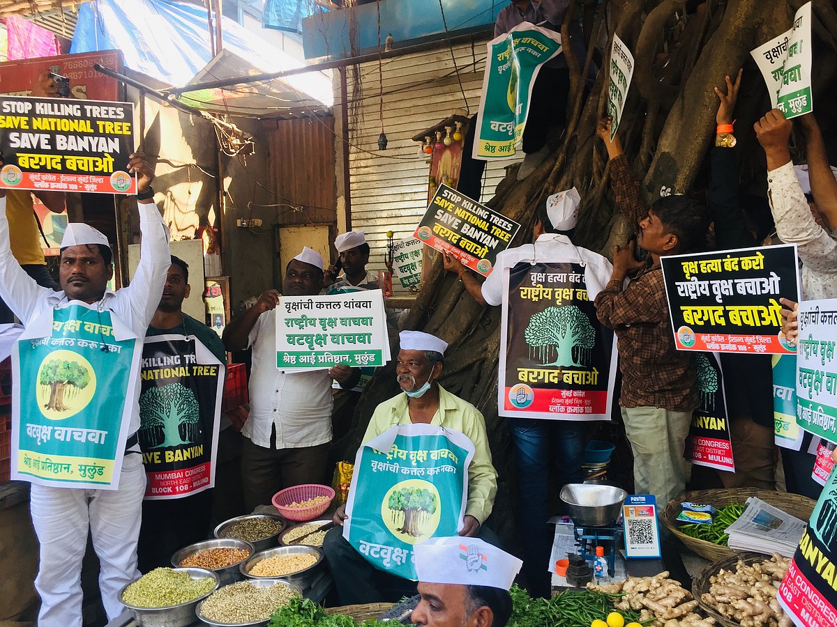 Mumbai: Chipko' movement at Mulund to save over 300 yr old tree, emotional locals join protest