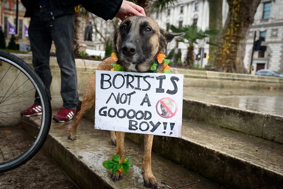 Representative image | Twitter/@TheWeeklyBull