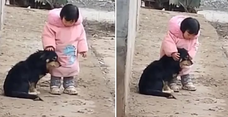 Watch video: Little girl comforts dog during fireworks amid Chinese New Year celebration

