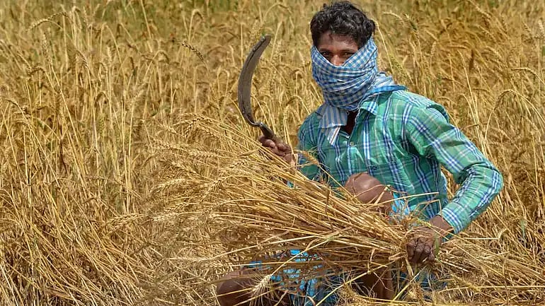 Budget 2022 puts dues emphasis on agri universities