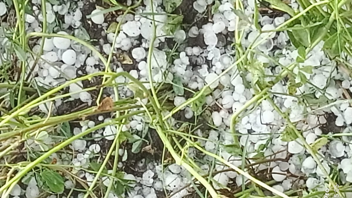 IMD Warns Of Thunderstorms, Hail In Vidarbha, Marathwada & Other Parts Of Maharashtra From March 17–20; Farmers Advised Caution