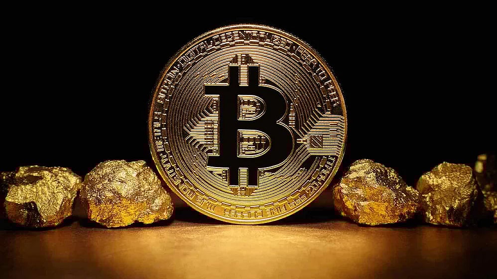 article-image