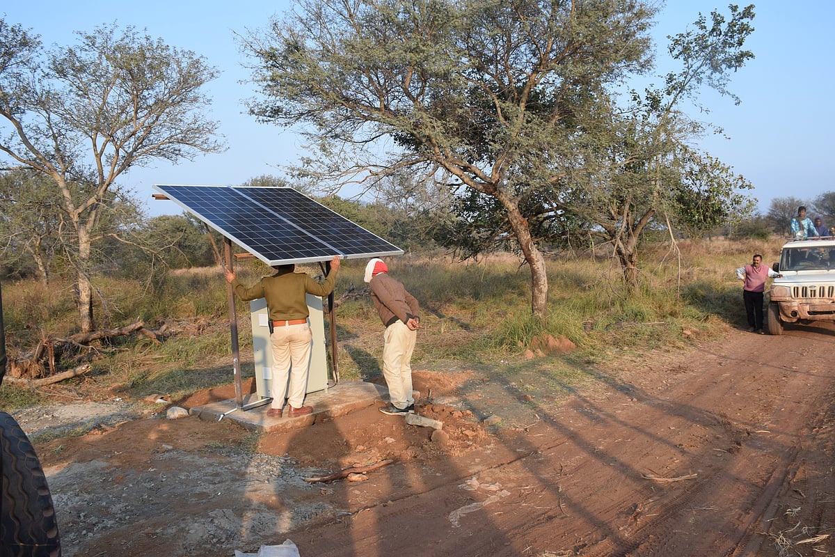 Solar panels have been placed at various points to provide current to the fence and the cameras at Kuno National Park, Madhya Pradesh