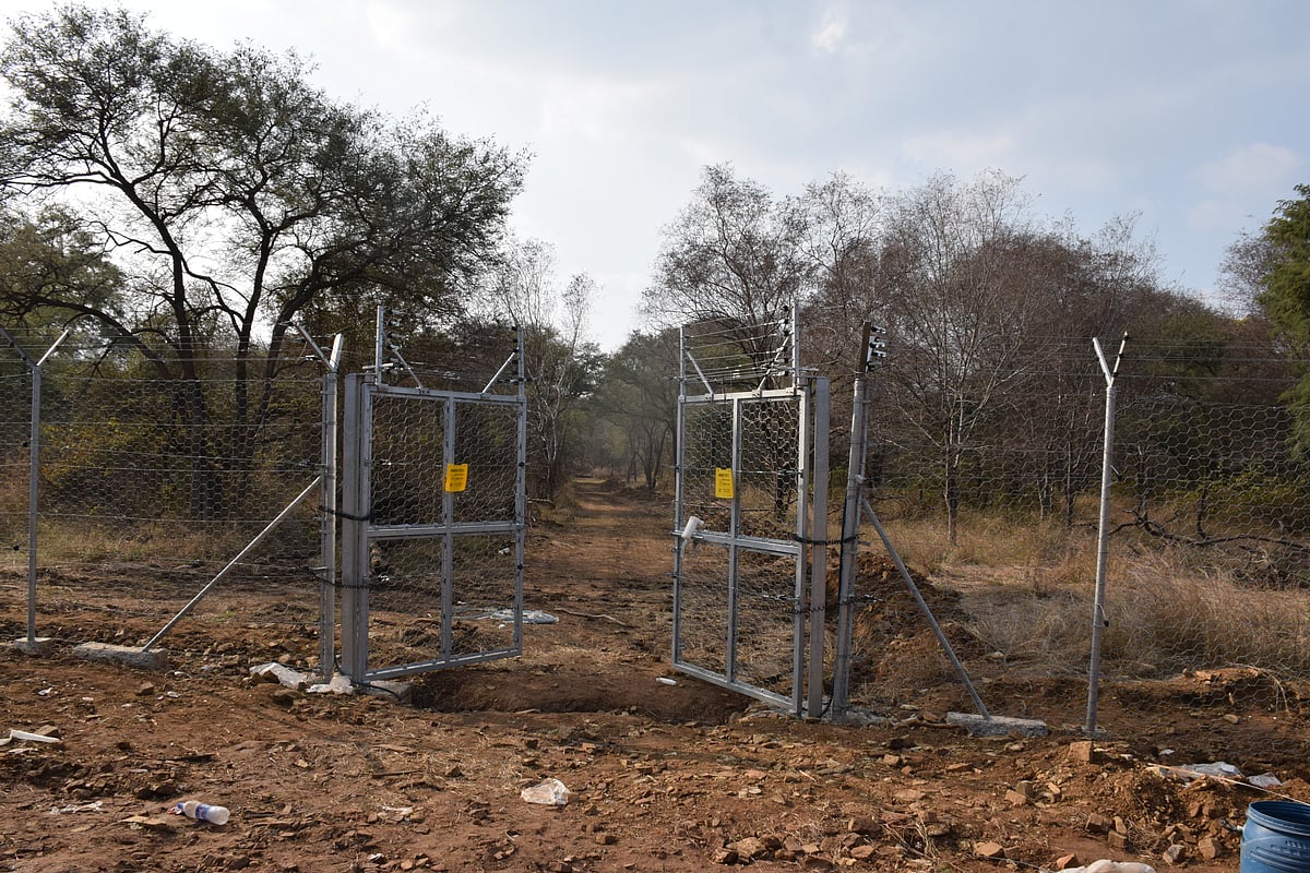 A specially prepared enclosure also termed as pre-releasing centre that covers over 500 hectares has been prepared for cheetahs at Kuno National Park, Madhya Pradesh