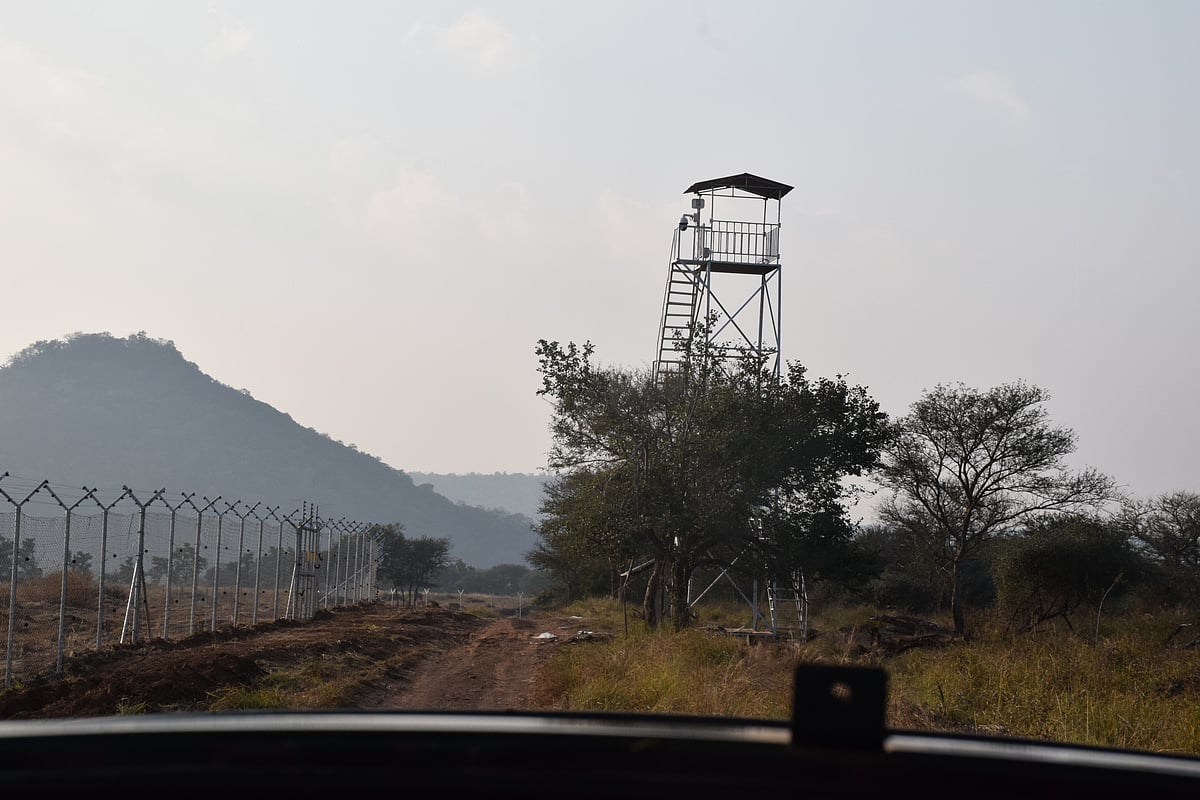 Over eight watch towers have been erected encircling the enclosure. 